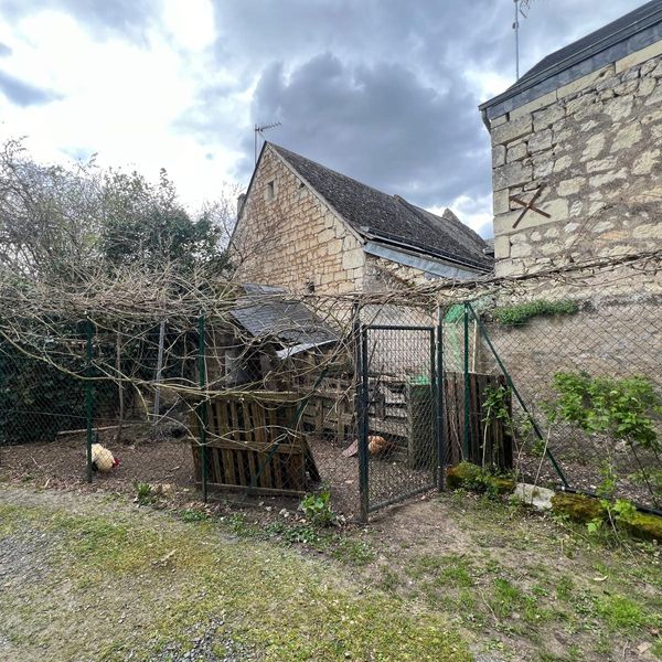 Image 6