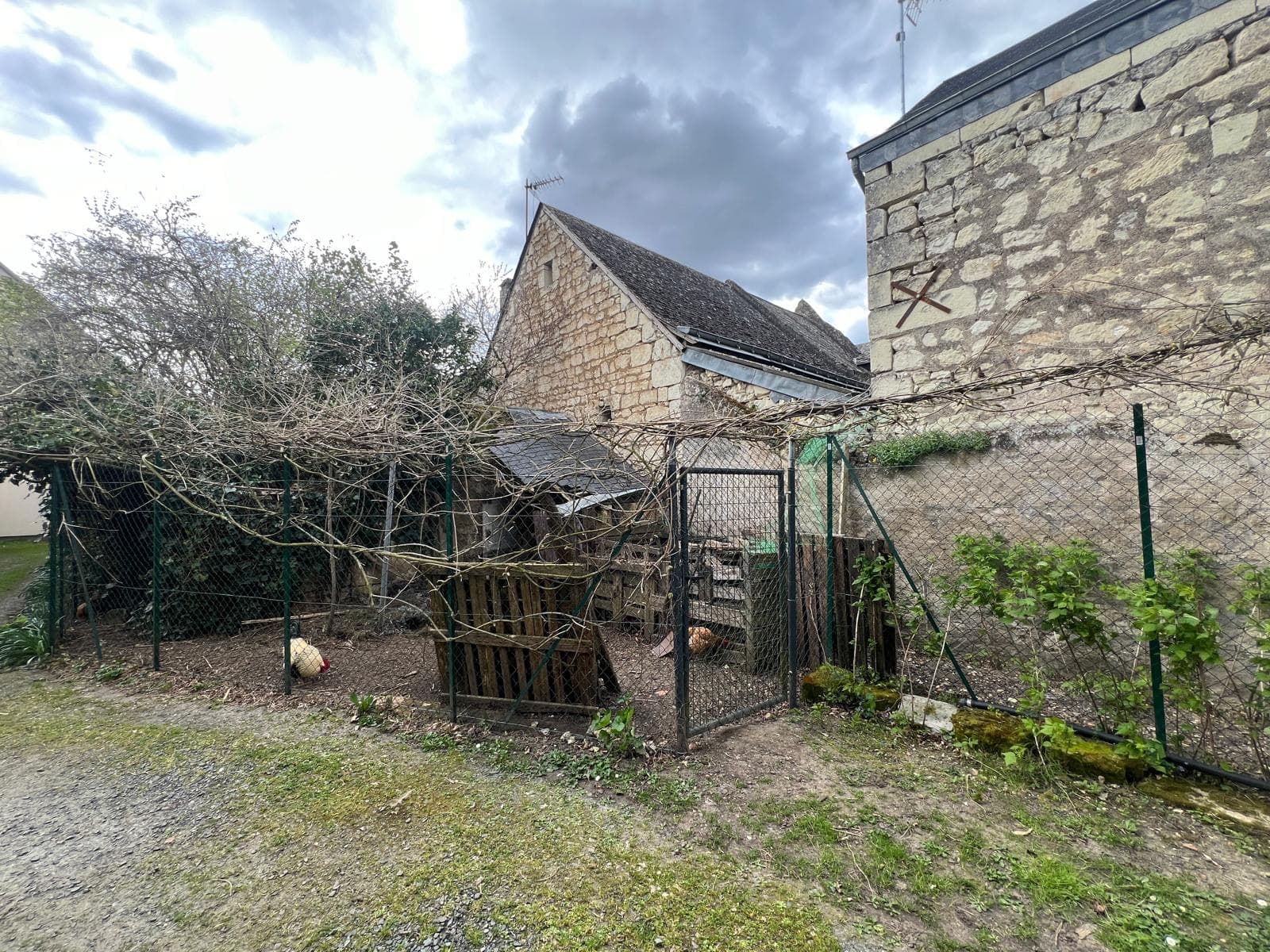Image 6
