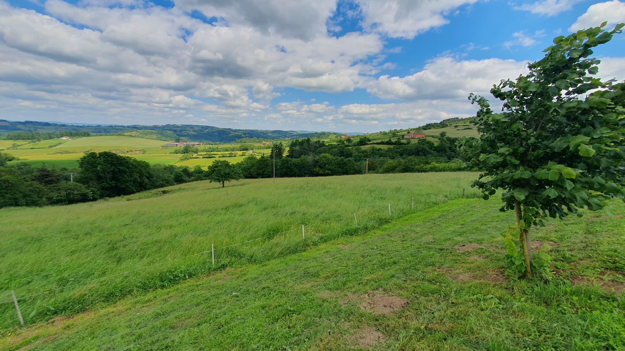 Property feature image